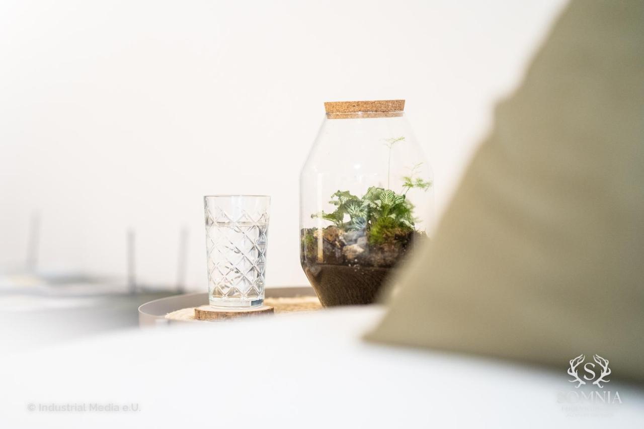 Ferienwohnung Somnia - Altstadt Gmunden Zewnętrze zdjęcie